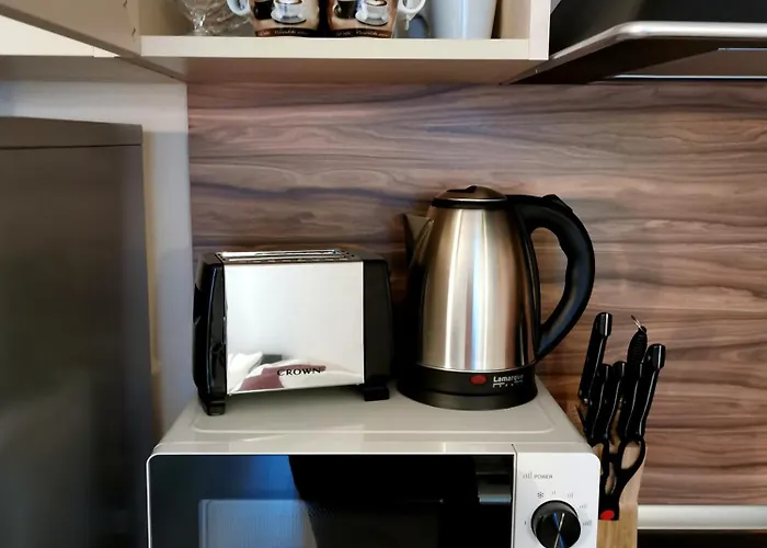 студио черноморски залив атия 公寓